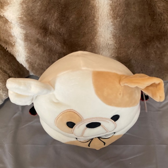 Brock the dog in costume squishmallow - Picture 3 of 7